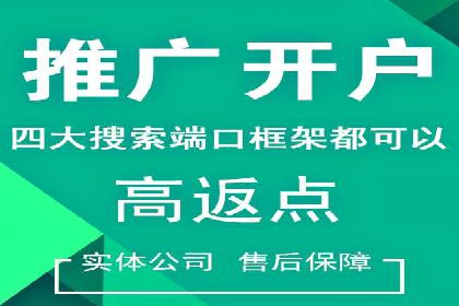 案例解析：竞价代运营如何提高广告投放效果